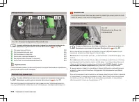 Страница 237