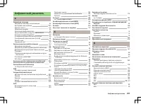 Страница 252
