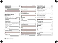 Страница 257