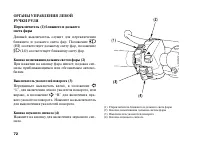 Страница 81