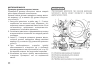 Страница 51