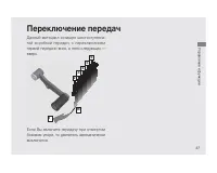 Страница 41