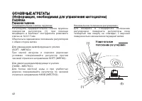 Страница 51