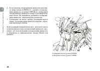 Страница 56