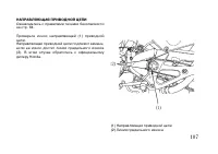 Страница 117