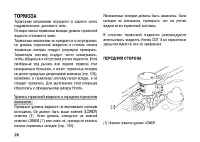 Страница 36