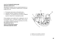 Страница 55