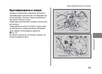 Страница 119