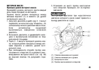 Страница 55
