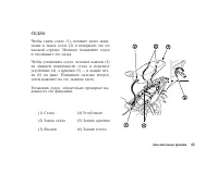 Страница 54