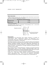 Страница 56