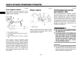 Страница 31