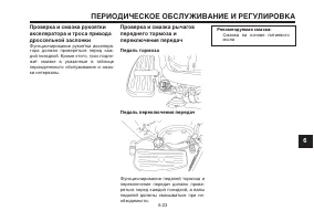 Страница 67