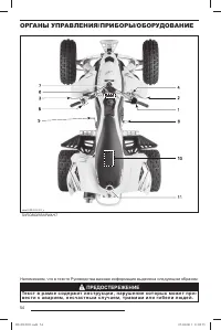 Страница 55