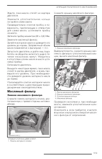 Страница 113