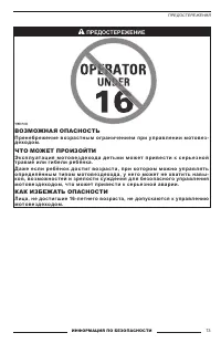 Страница 13