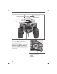 Страница 61