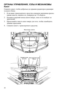 Страница 30