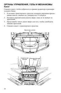 Страница 30