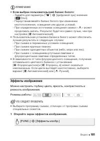 Страница 101