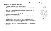 Страница 119