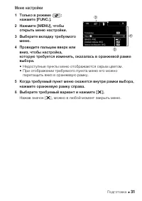 Страница 31