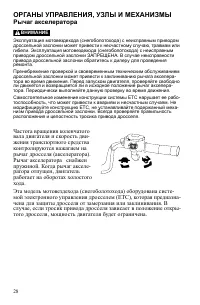 Страница 28
