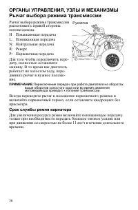 Страница 36