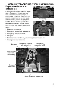 Страница 43