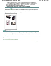 Страница 242
