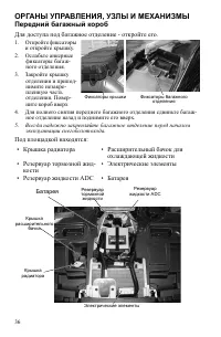 Страница 36