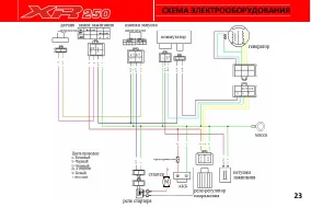 Страница 29