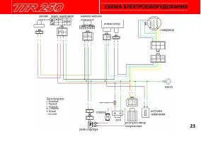 Страница 29