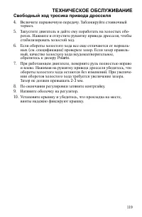 Страница 119