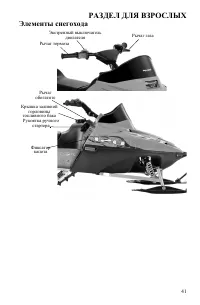 Страница 41