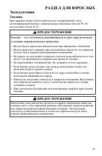 Страница 43
