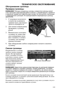 Страница 119
