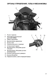 Страница 25