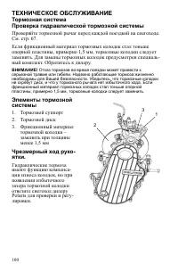 Страница 100