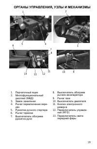 Страница 29