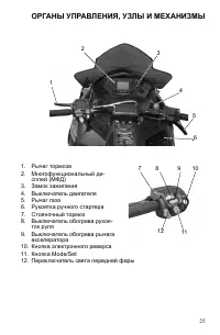Страница 25