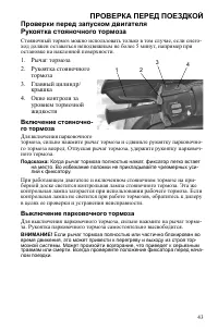 Страница 43