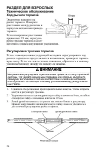 Страница 56