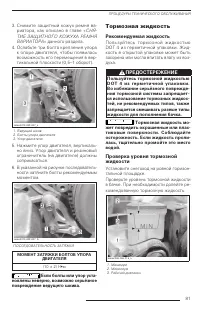 Страница 81
