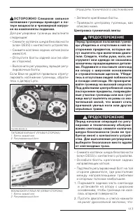 Страница 119