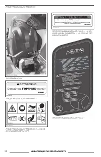 Страница 31