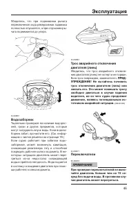 Страница 53