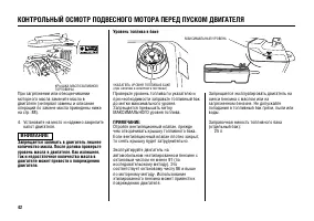 Страница 43