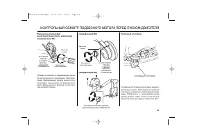 Страница 43