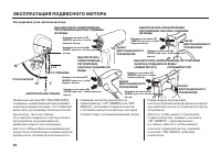 Страница 61